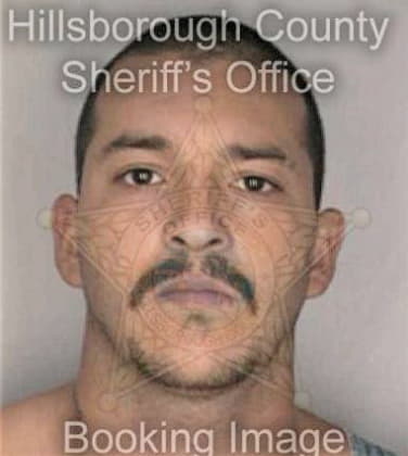 Regoberto Malagon, - Hillsborough County, FL 