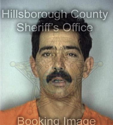 George McDaniel - Hillsborough County, FL 