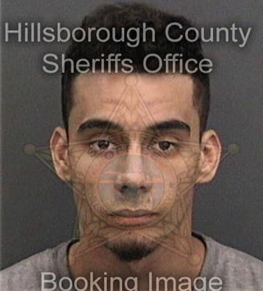 Michael Paez, - Hillsborough County, FL 