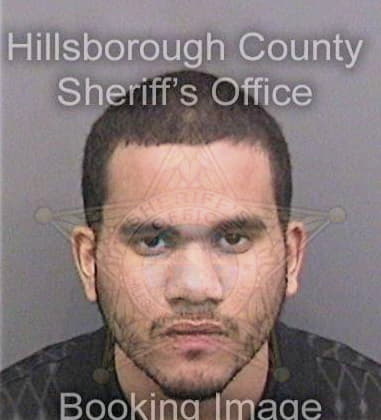 Edwin Santiagomontalvo, - Hillsborough County, FL 