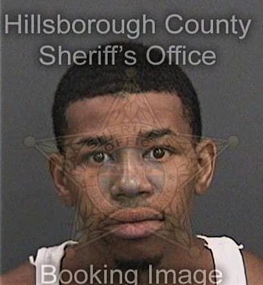 Christopher Stroman, - Hillsborough County, FL 