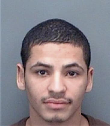 Celio Chaves, - Pinellas County, FL 