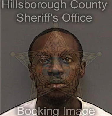 Sean McCoggle - Hillsborough County, FL 