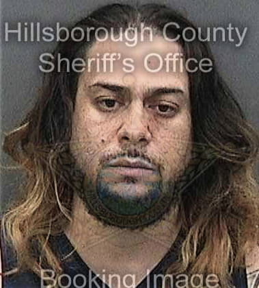 Daniel Mosley, - Hillsborough County, FL 