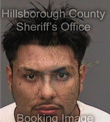 Ramzi Shuraz, - Hillsborough County, FL 