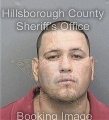 David Whitt - Hillsborough County, FL 