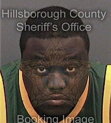 Davian Zow, - Hillsborough County, FL 