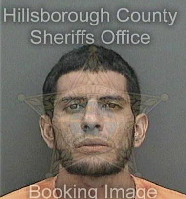 Christian Alba, - Hillsborough County, FL 