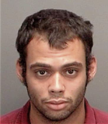 Pedro Espinozagutierrez, - Pinellas County, FL 