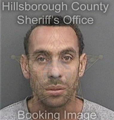 Matthew Hornik, - Hillsborough County, FL 