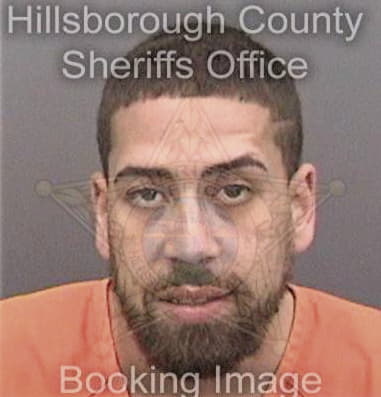 Aren Meccariello - Hillsborough County, FL 
