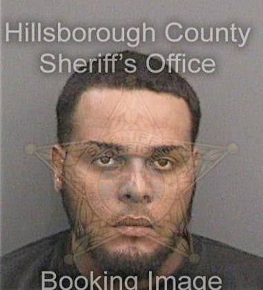 Sean Merkel - Hillsborough County, FL 