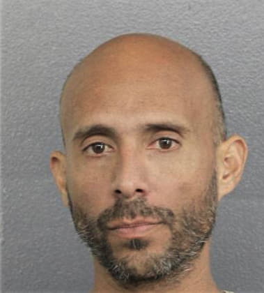 Reynaldo Pena-Castillo, - Broward County, FL 