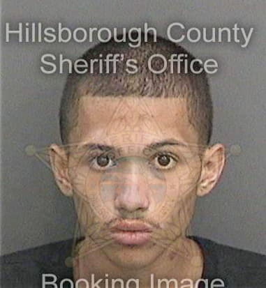 Joshua Stock, - Hillsborough County, FL 