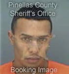 Andrew Torres, - Pinellas County, FL 