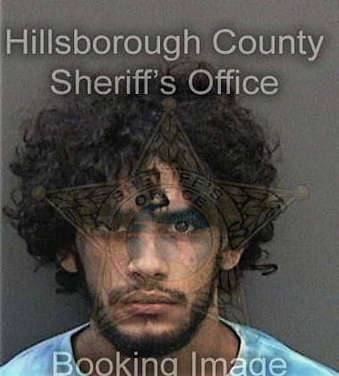Daniel White - Hillsborough County, FL 