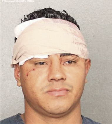 Ramon Castro, - Broward County, FL 