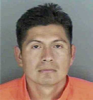 Armando Cortez, - Collier County, FL 