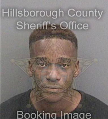 Demond Levinson, - Hillsborough County, FL 