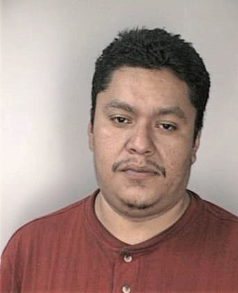 Thomas McElyea - Hillsborough County, FL 