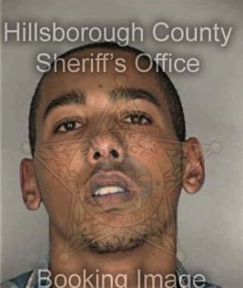 Reginald Moore, - Hillsborough County, FL 