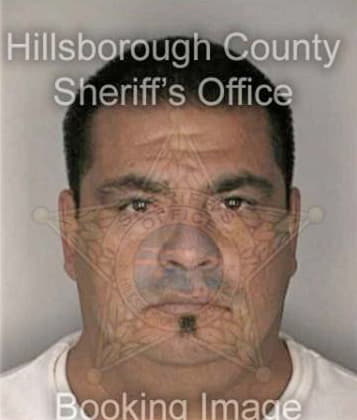 Paul Saliva, - Hillsborough County, FL 