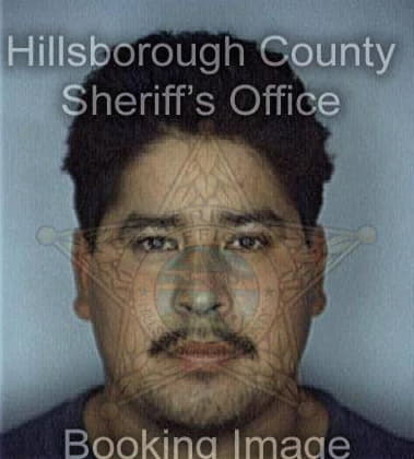 Mario Cruz, - Hillsborough County, FL 