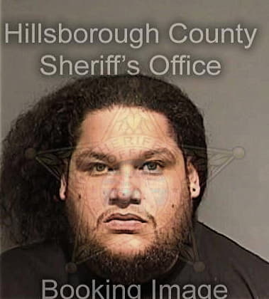 Rufino Diaz-Garcia, - Hillsborough County, FL 