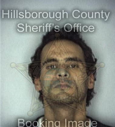 Peter Giglio, - Hillsborough County, FL 