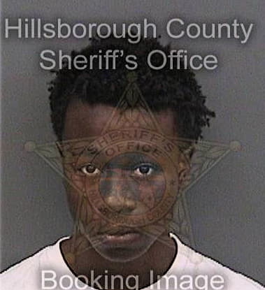 Mesean Hadley, - Hillsborough County, FL 