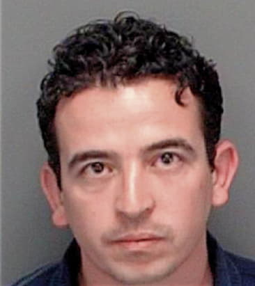 Antonio Lima, - Pinellas County, FL 