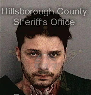 Ryan Willey - Hillsborough County, FL 