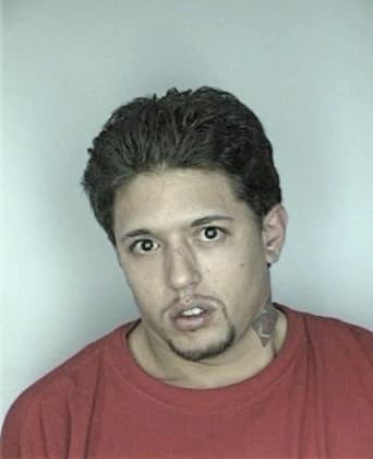 Julio Aguilar, - Hillsborough County, FL 