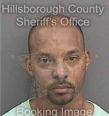 Brandon Flowers, - Hillsborough County, FL 