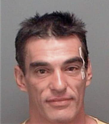 Ricardo Ristorcelli, - Pinellas County, FL 