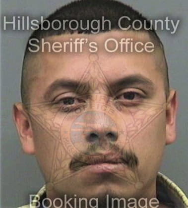 Bolivar Sierragarcia, - Hillsborough County, FL 