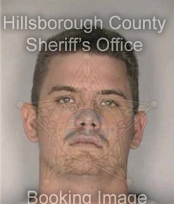 Nicholas Steinacker, - Hillsborough County, FL 