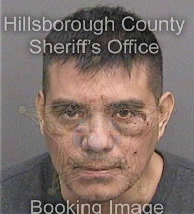 Michael Thran, - Hillsborough County, FL 