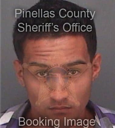 Kristopher Arroyo, - Pinellas County, FL 