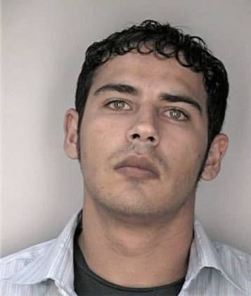 Jonathan Castillo, - Hillsborough County, FL 