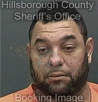 Ivan Cruz, - Hillsborough County, FL 