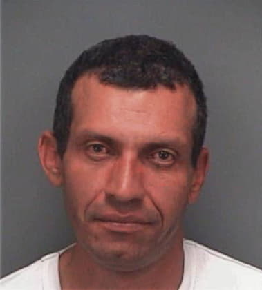 Jorge Hernandez, - Pinellas County, FL 