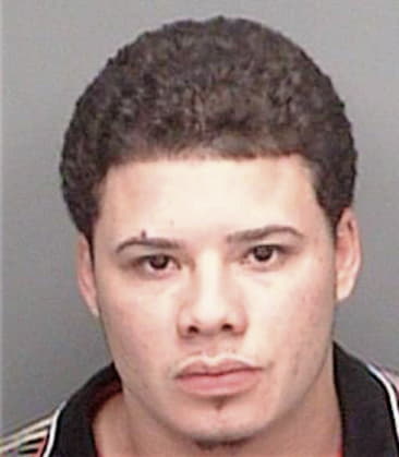 Jorge Hernandez-Martinez, - Pinellas County, FL 