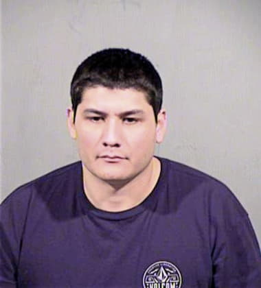 Steve Ochoa, - Maricopa County, AZ 