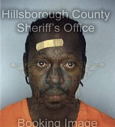 Donell Perry, - Hillsborough County, FL 