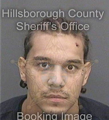 Tyjuan Shannonhouse, - Hillsborough County, FL 