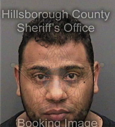 Jeremy Wilson, - Hillsborough County, FL 