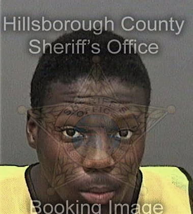 Livonte Howard, - Hillsborough County, FL 