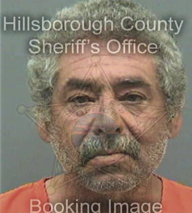 Cyrus Khanalizadehmiller, - Hillsborough County, FL 