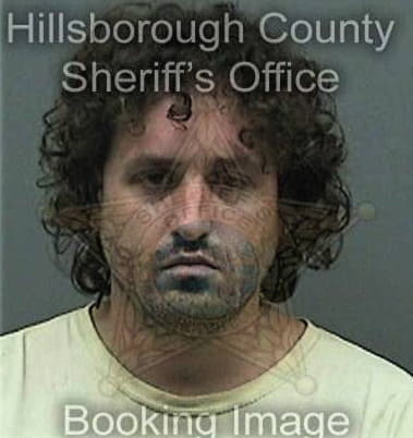 Michael McCorts - Hillsborough County, FL 